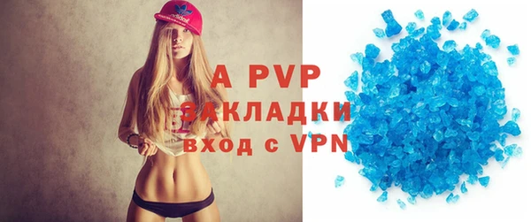 индика Горно-Алтайск