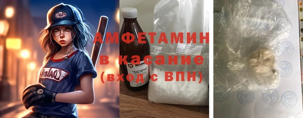 индика Горно-Алтайск