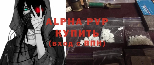 индика Горно-Алтайск