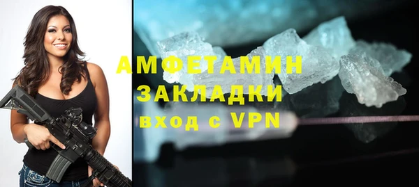 индика Горно-Алтайск