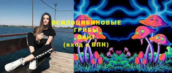 альфа пвп Горняк