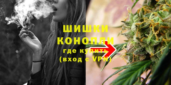 индика Горно-Алтайск