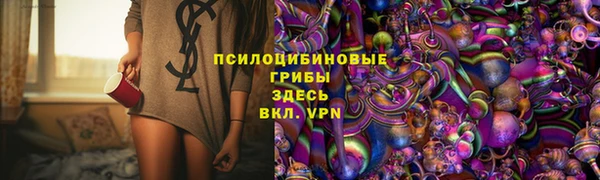 индика Горно-Алтайск