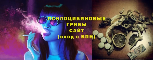 альфа пвп Горняк